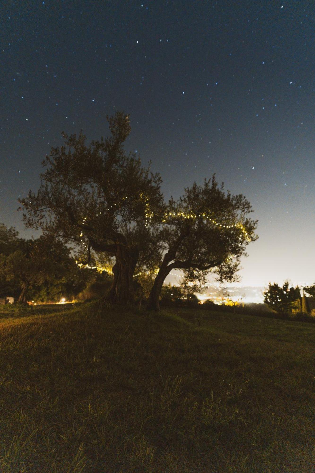Agriturismo San Felicissimo Перуджа Экстерьер фото
