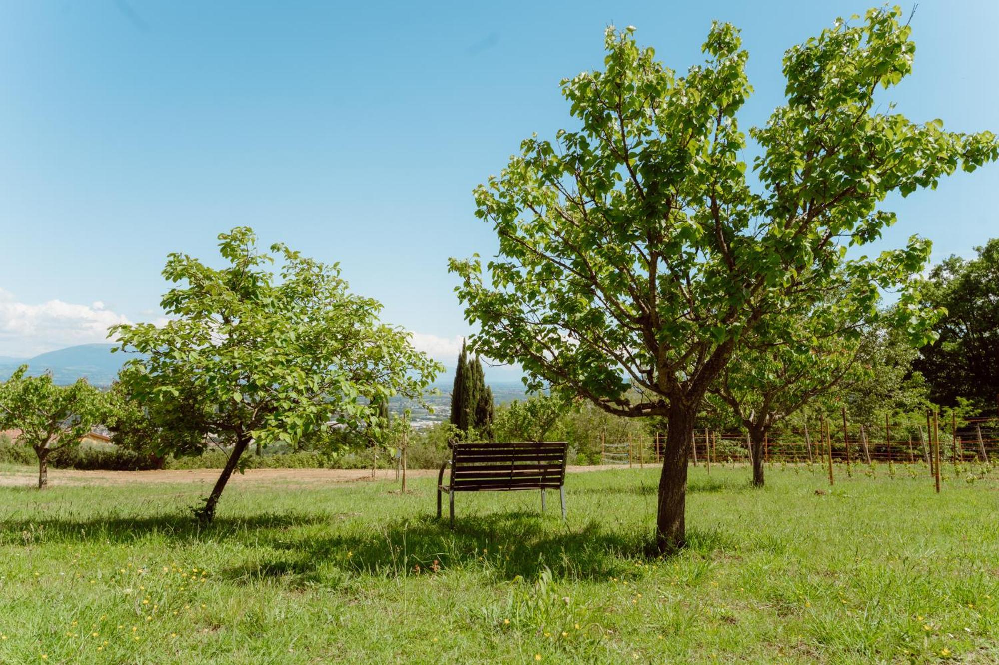 Agriturismo San Felicissimo Перуджа Экстерьер фото