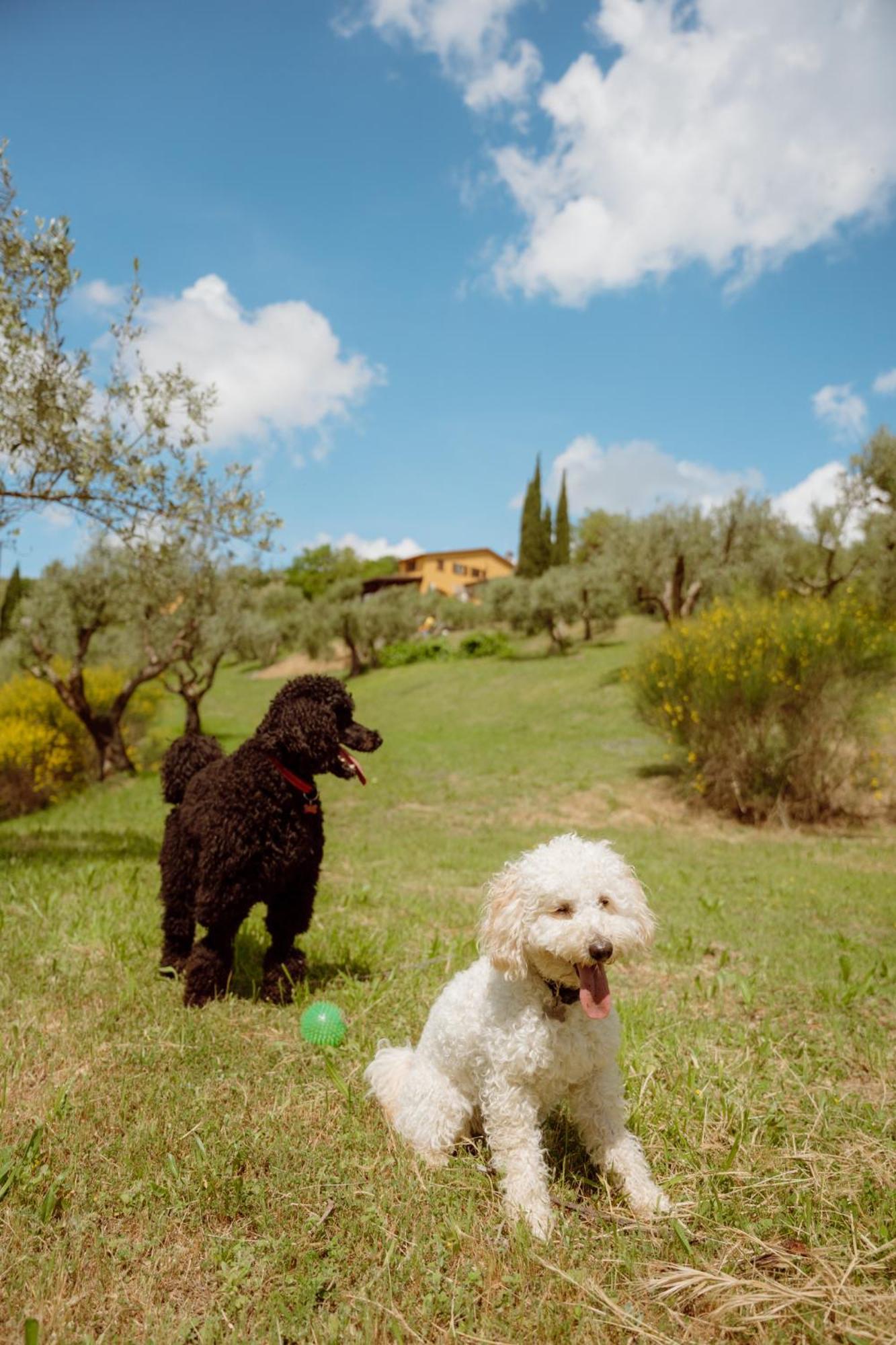 Agriturismo San Felicissimo Перуджа Экстерьер фото